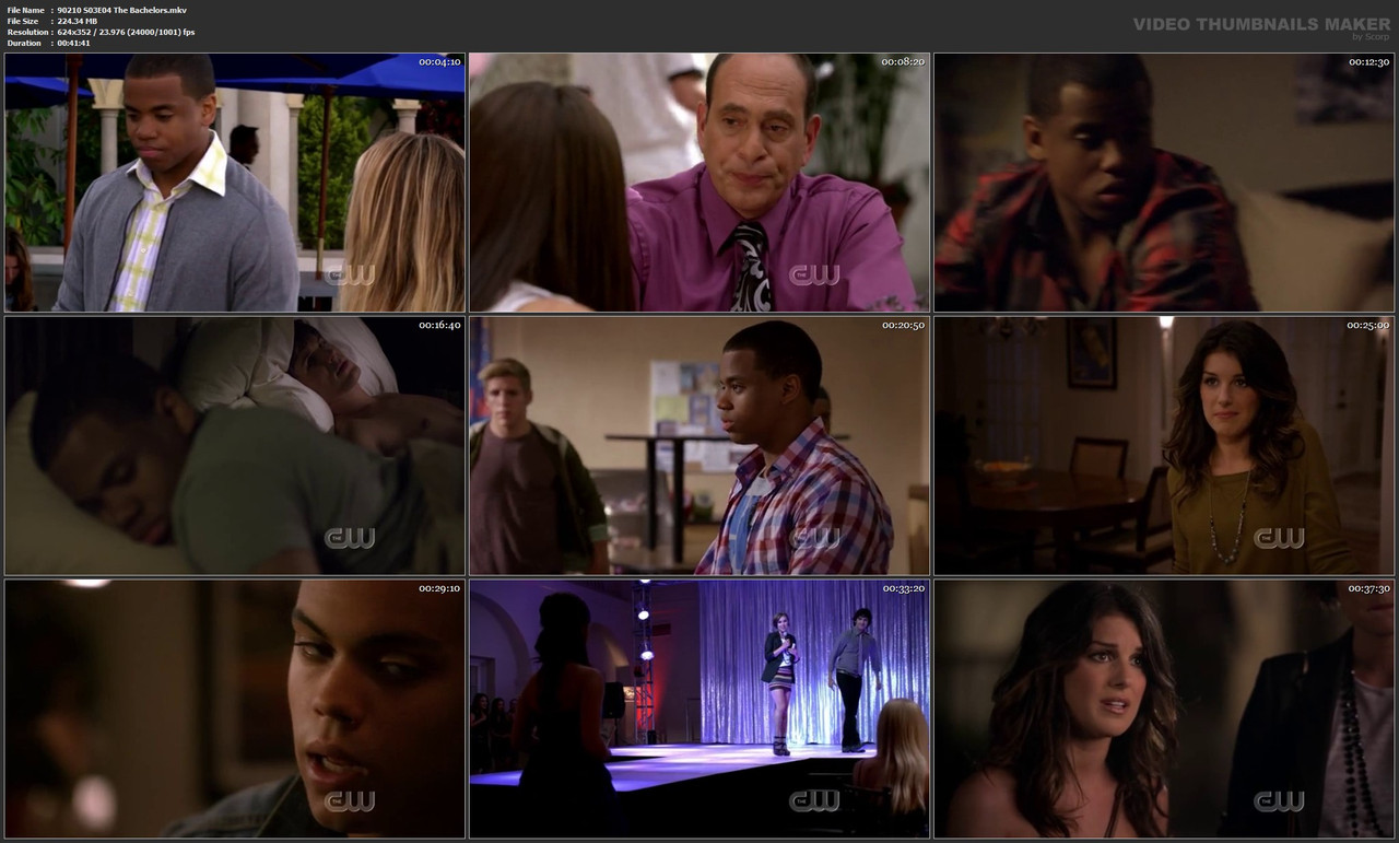 90210 S03E04 The Bachelors.mkv