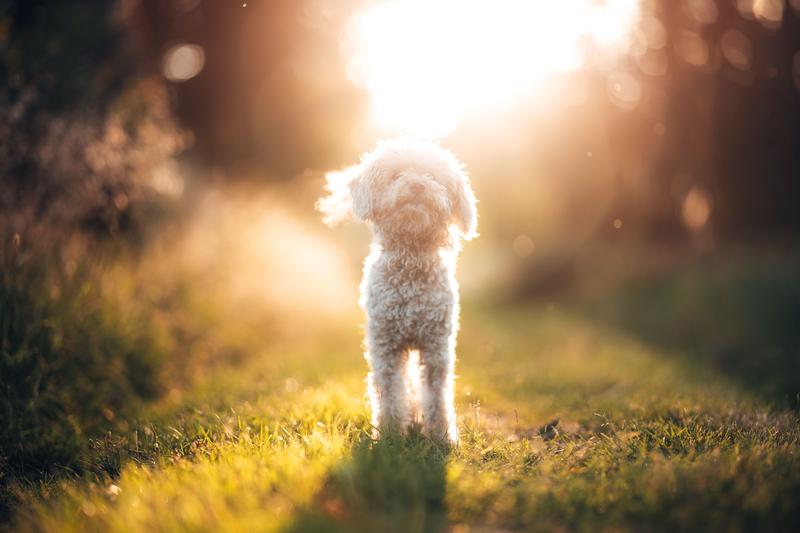 0X4A3816