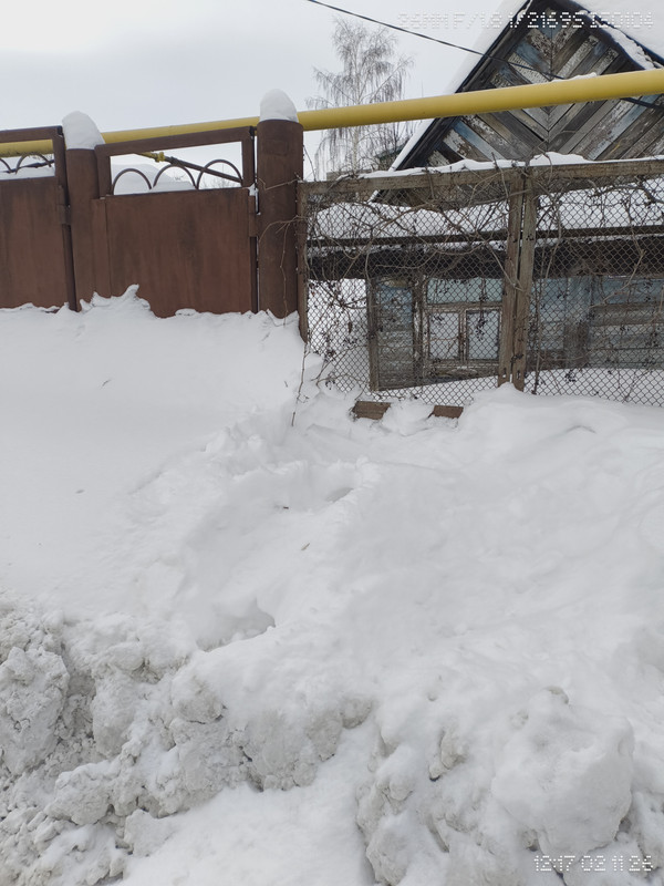 IMG 20260211 121727894