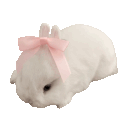 symphonlctears on tumblr symphonlctears on tumblr