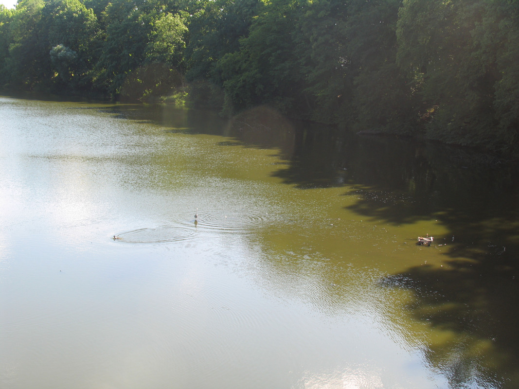 21 Июля 2024 036