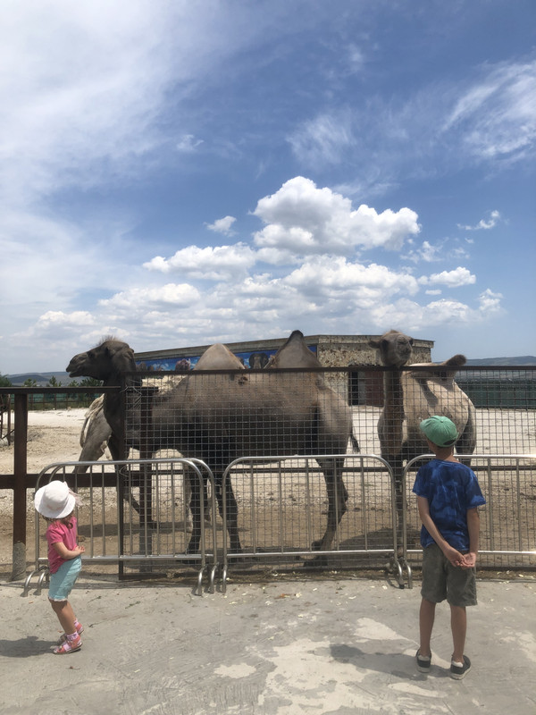 0531C84B-1002-48A3-9BBD-12C539BBD2E1