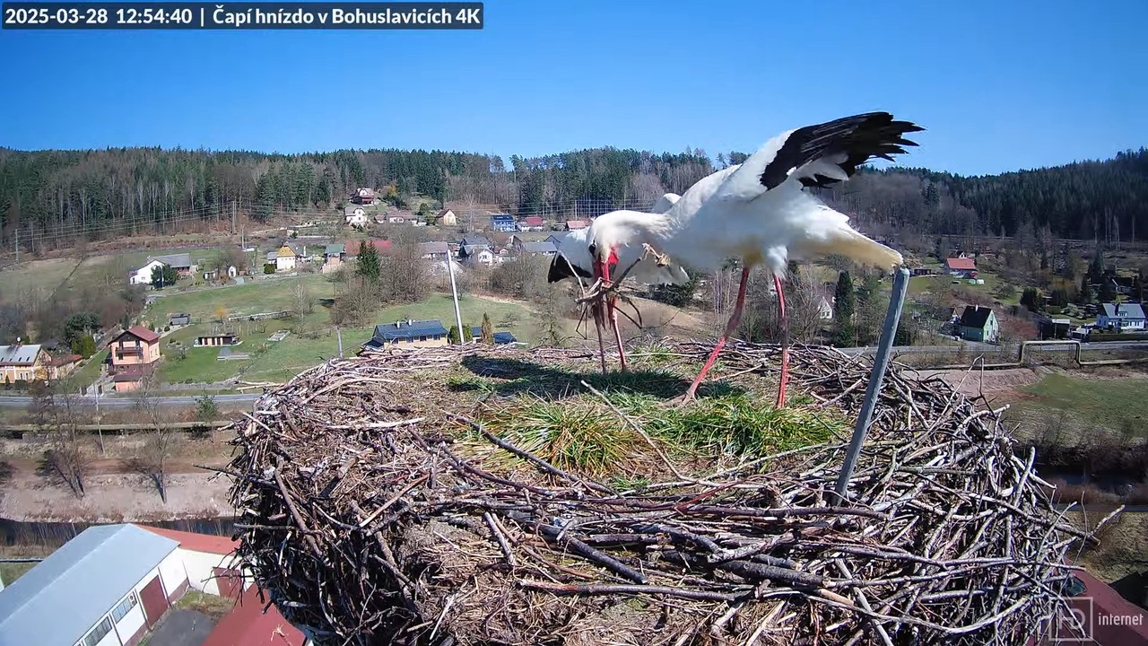 Tiešraidē no uzņēmuma KARA stārķa skursteņa Bohuslavicē pie Trutnovas 13-25-31 screenshot