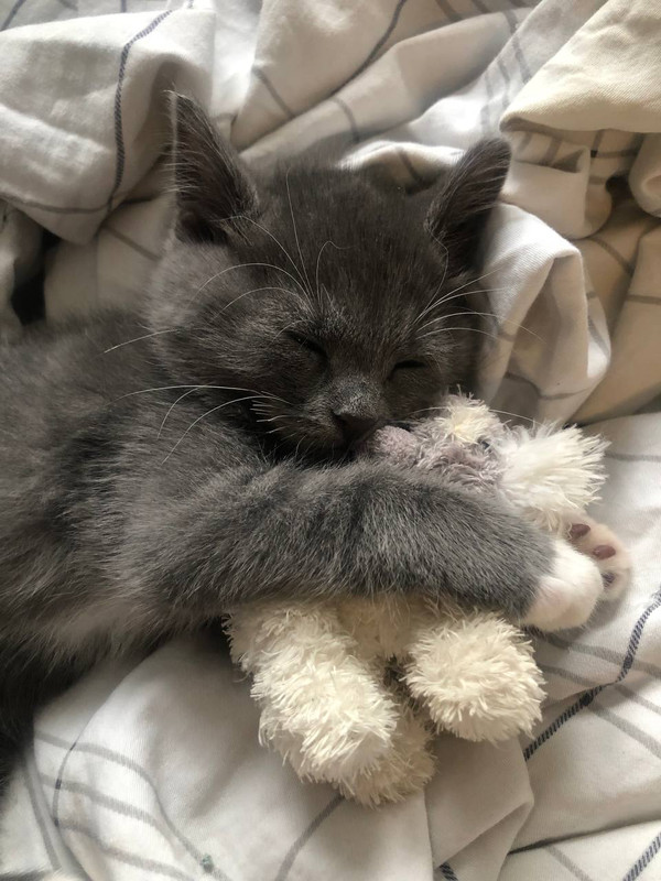 79EDB4EA-1BC2-4836-8DE8-AE790801A902