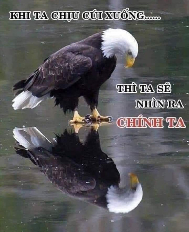 [Image: FB-IMG-1661295715770.jpg]