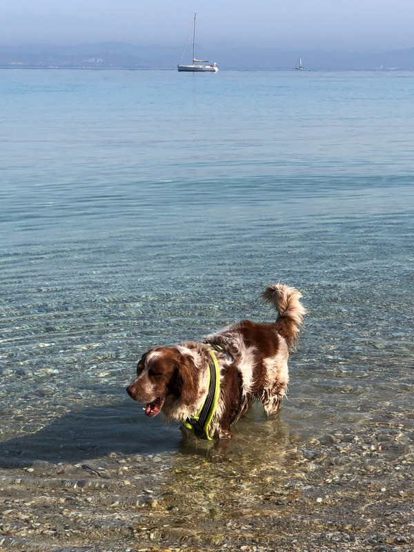 7E6FD144-69E4-4338-BA8B-B8EBC563A827