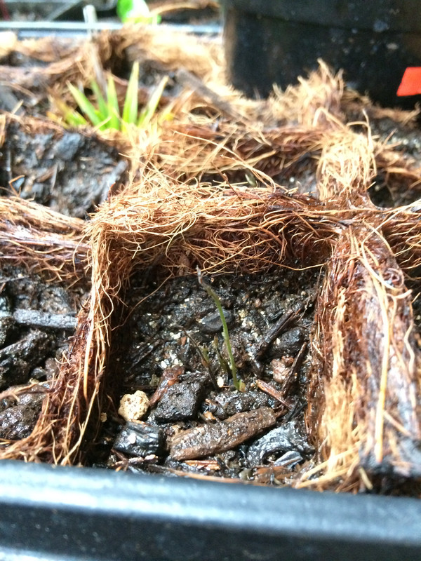 C4A5A5D6-B0CF-45C9-9BE2-8A43DD0EDE9A