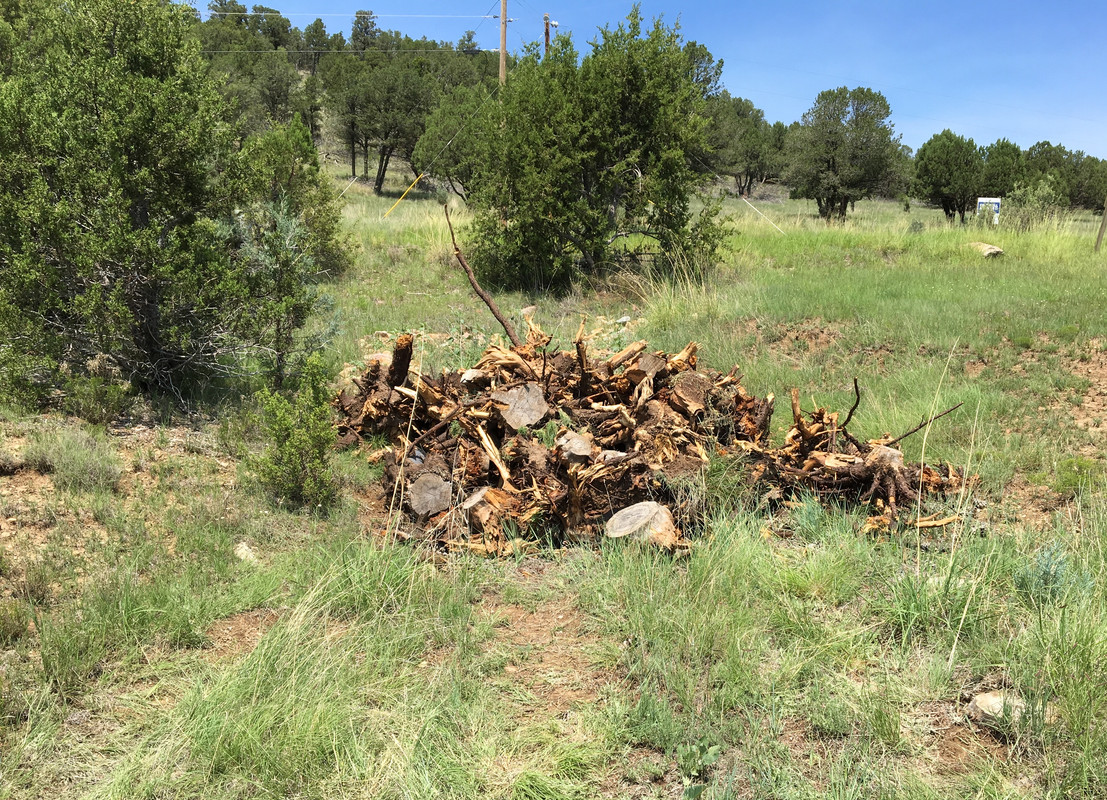 ED95ACC8-5F91-4420-B82A-5CFB7DAFBC57