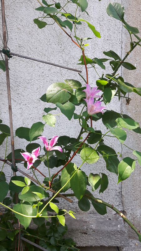 20190726_140044