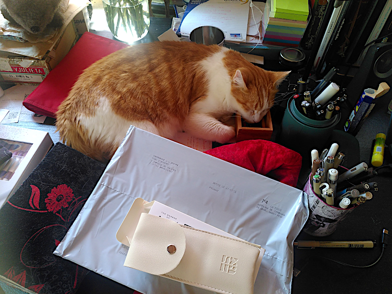 Chat endormi sur mon plumier