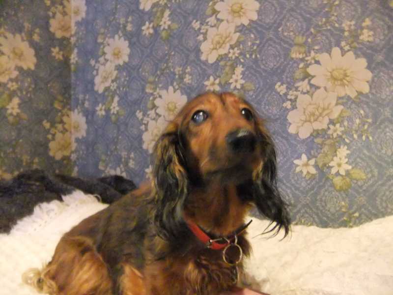 [Image: DSCF1860.jpg]