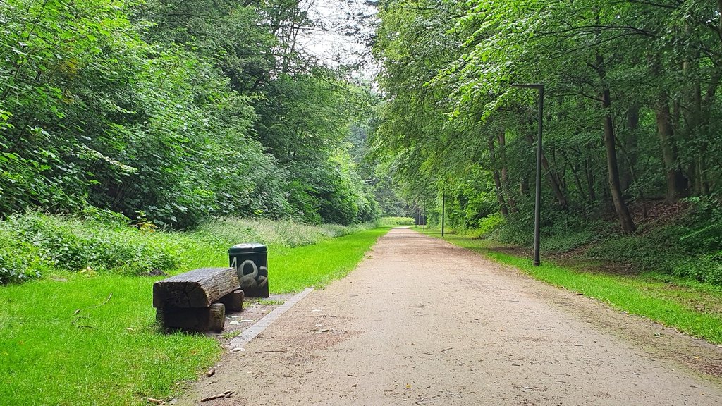 2022-07-09-revierpark-nienhausen-ge-e-3.jpg