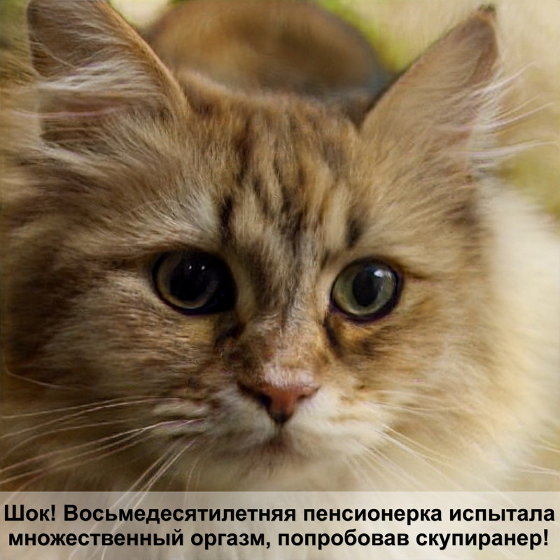 ошейник для кошек от блох и клещей