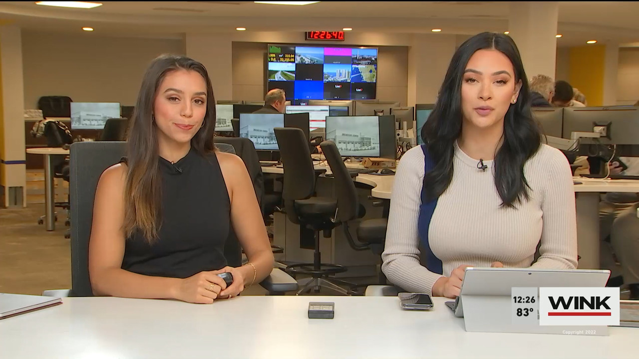 10.27 - 17.00.00 - The WINK Noon News  ᴺᵉʷ. Midday news update..ts_snapshot_33.08.215