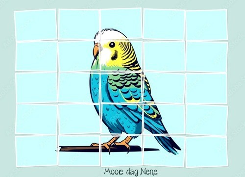 Welkom bij Dushy