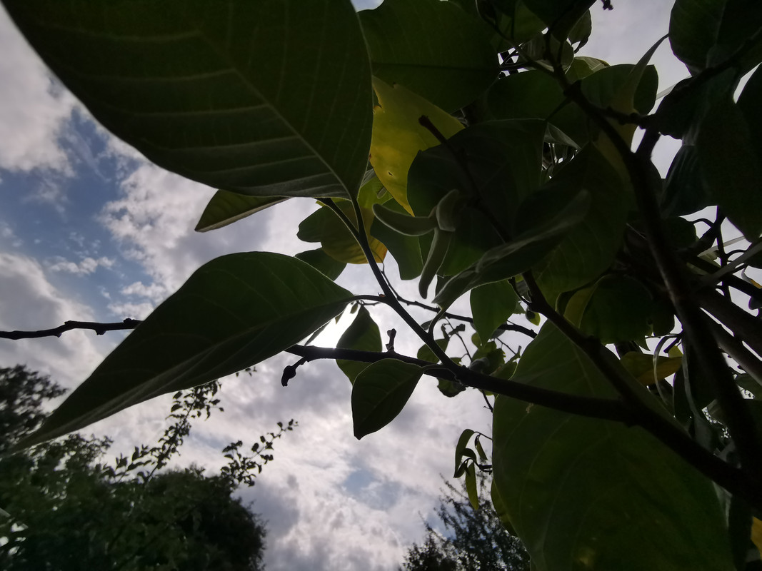 IMG_20250714_160143