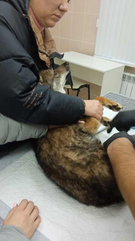 A5AC20B1-6D3E-4986-B16C-1A98FDD970E9