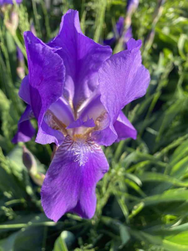 068CD08A-1910-4407-9FA1-BB1B058444F8