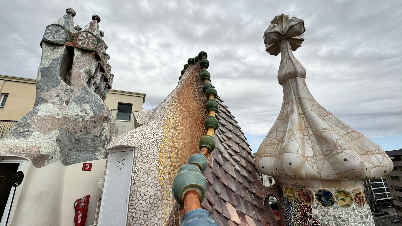 [Obrazek: IMG-2996.jpg]