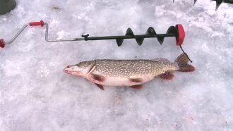 ice pike