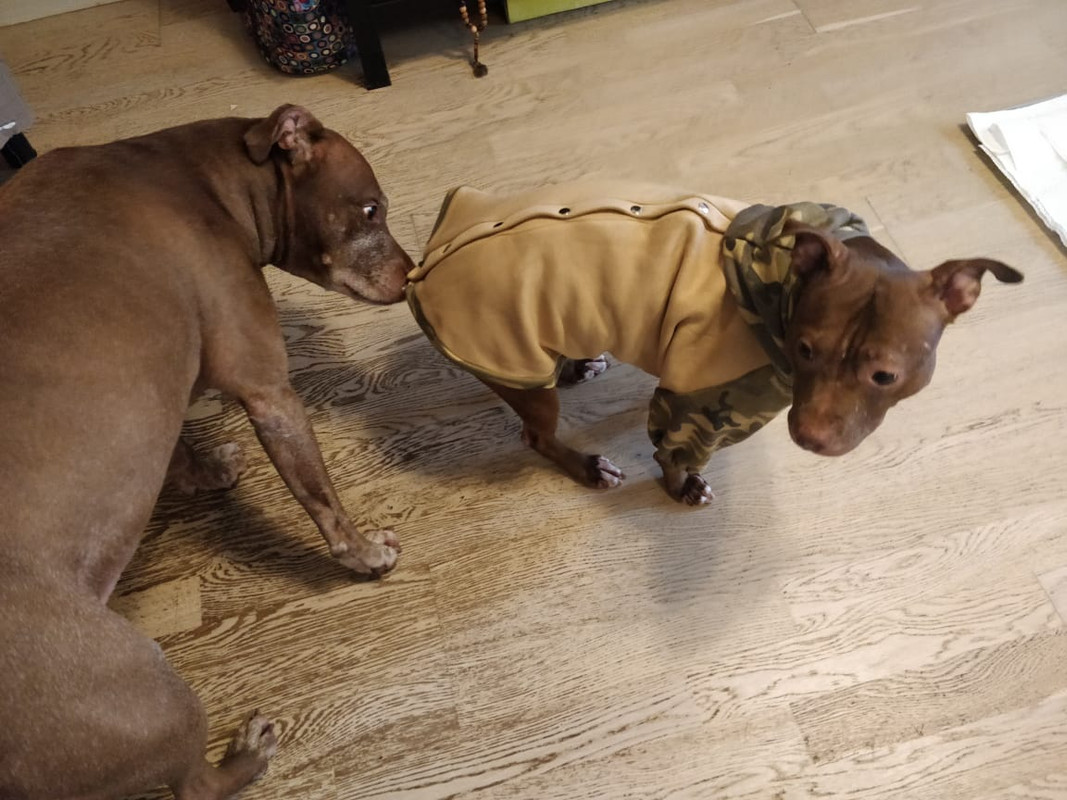 1E3D76E4-EC0A-4BD4-B783-3C0AAD386A51