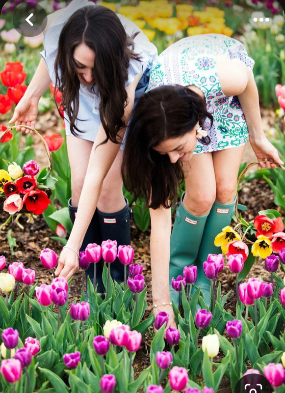 Screenshot_20230919_223931_Pinterest