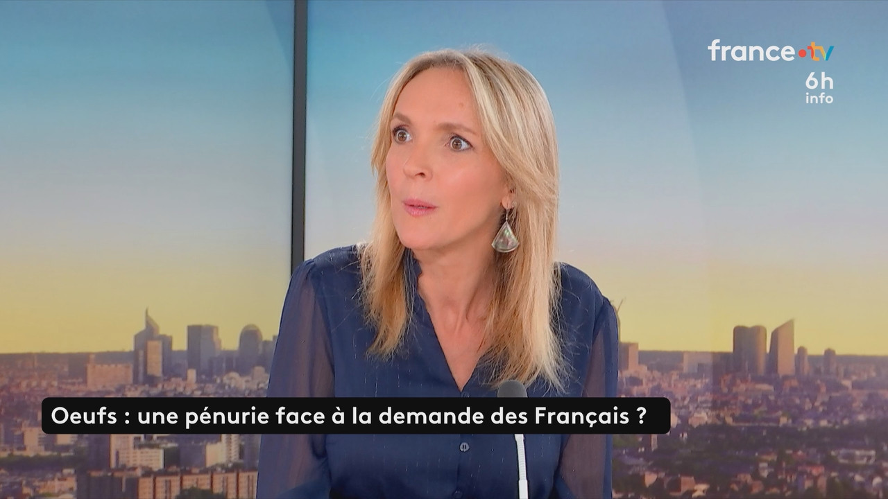 Le 6h info France 2 2025 11 15 05 57 ts snapshot 19 57 319