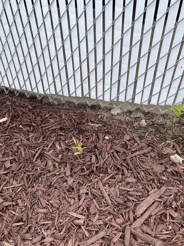 1E5B8003-06F0-4D12-95EA-20DDE3E2094C