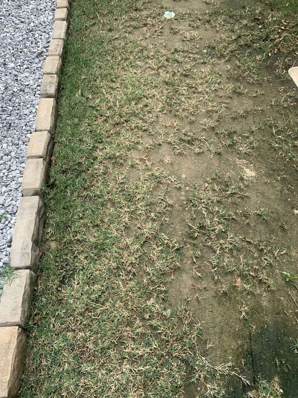 43A633C7-2824-4350-83BB-4A91A20DAD5F