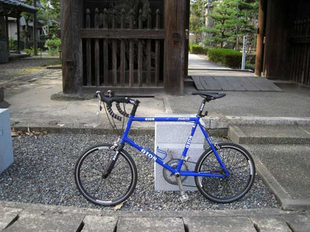 gios minivelo image 2021