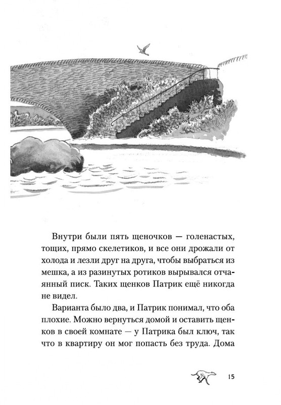 2-page-0013