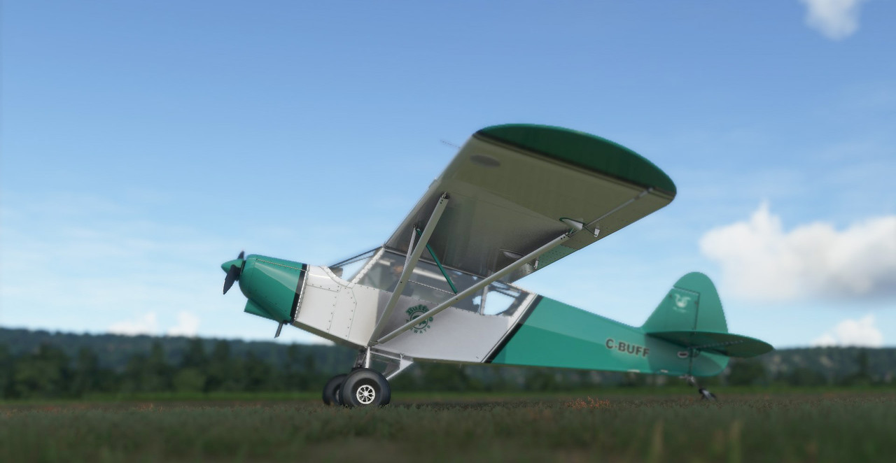 Savage-cub-buffalo-01.jpg