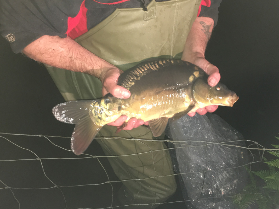 AEDAA435-D3C9-42A8-BF57-E38DF63A05CA