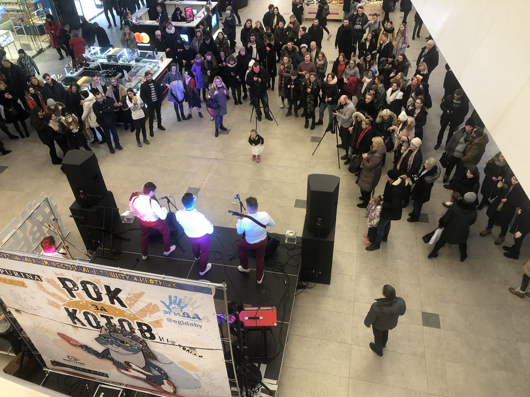 84407871-491C-4890-B500-842BDE53AE54