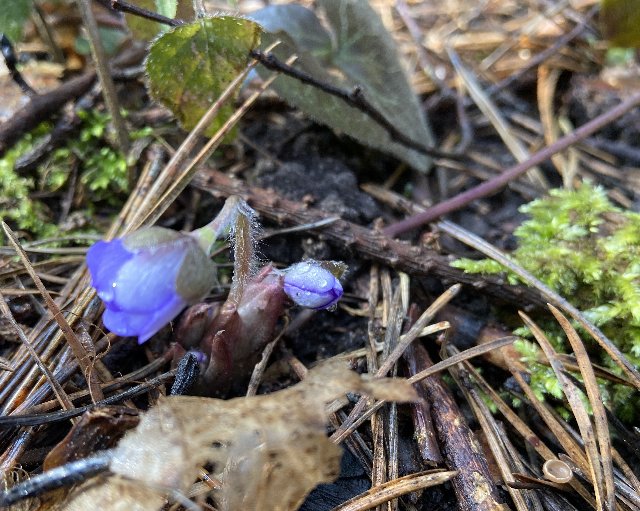 9417-EB9-C-E85-D-4050-A15-B-89080-DDC5-C