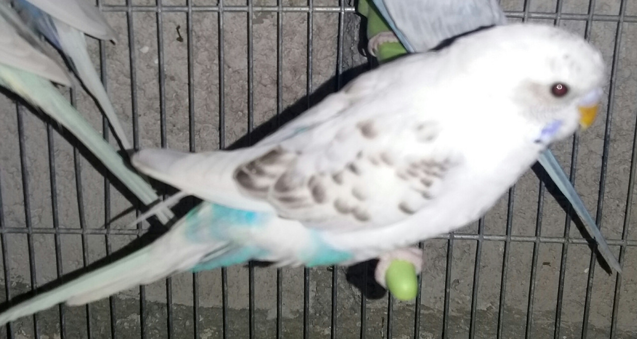 ٢?١٨-?٩-٢٢ ١٥.٥٦.٤٥