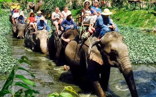 Elephant Village