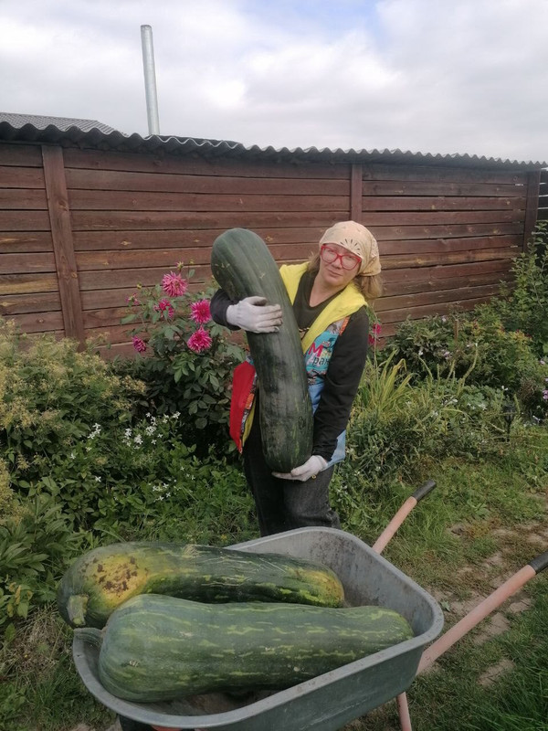 i - 2024-09-20T002935.752