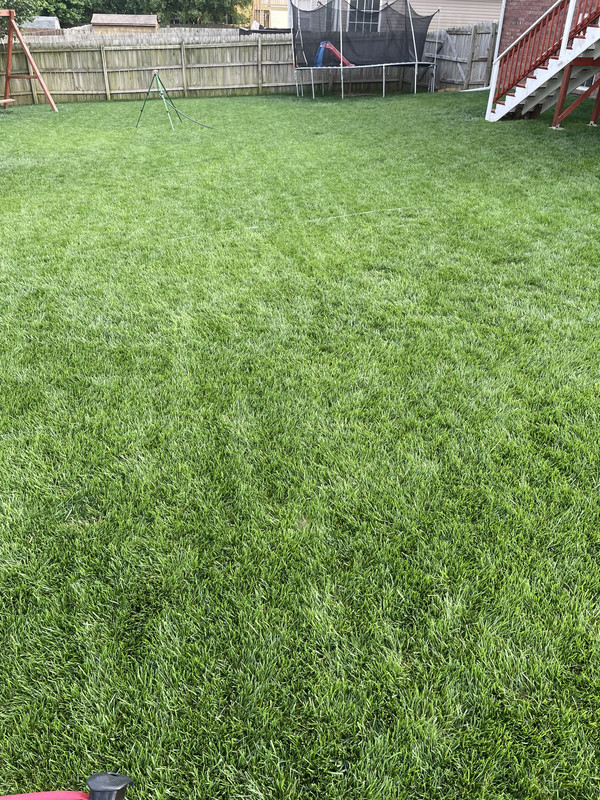 76BA6832-7F0C-48E6-B5D2-B3624D9DE7C6