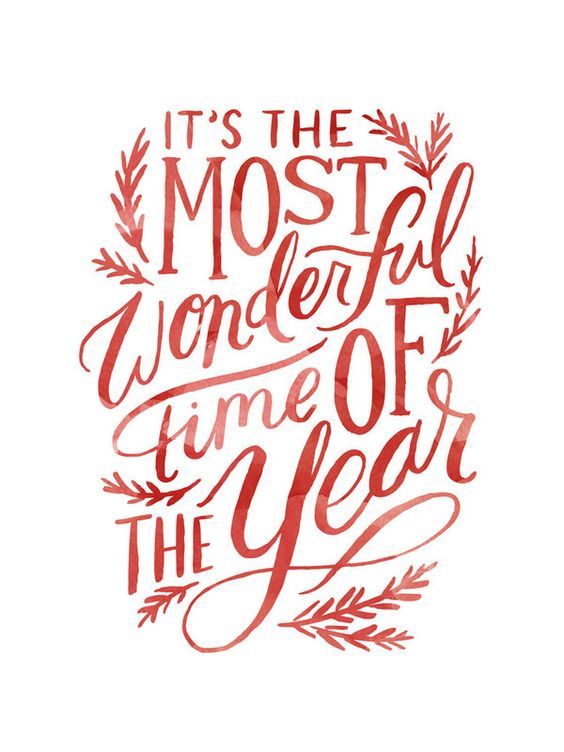 2ce8d03470bf513c85f9a57903fbfa4a