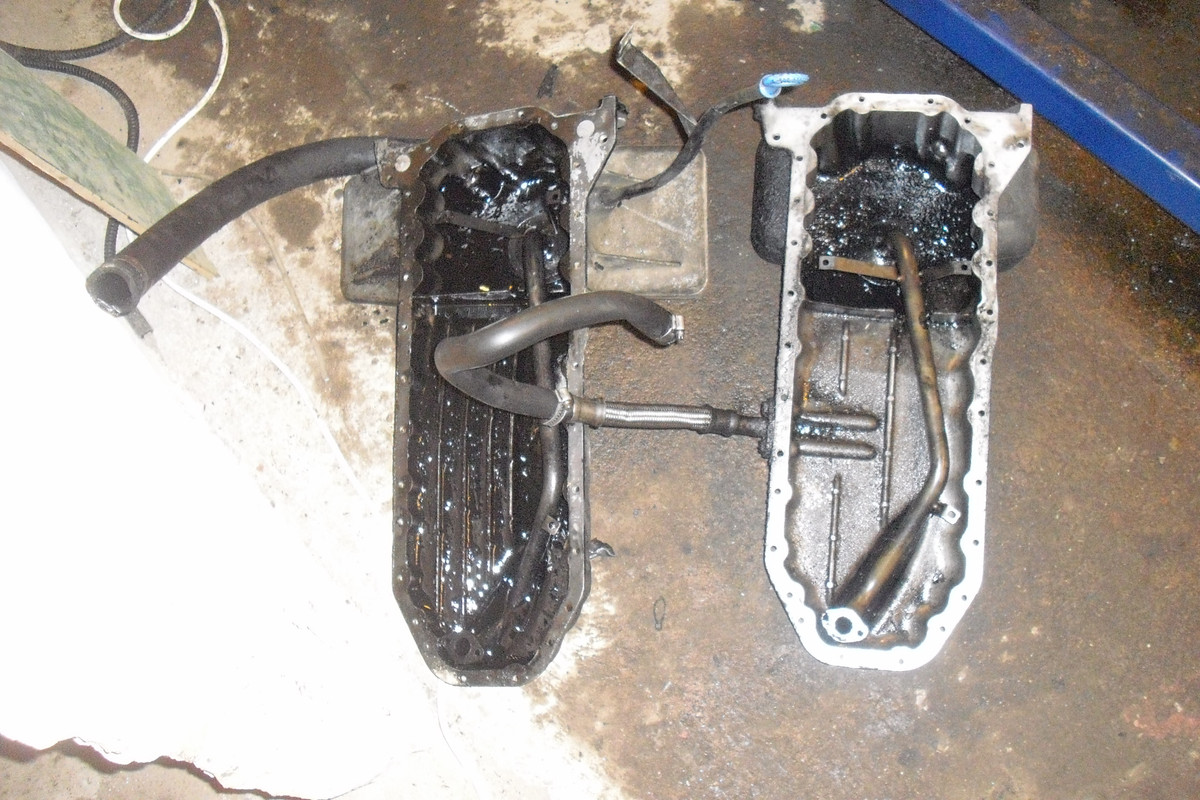 v=orginal h=turbotråg