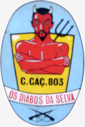 CCac803