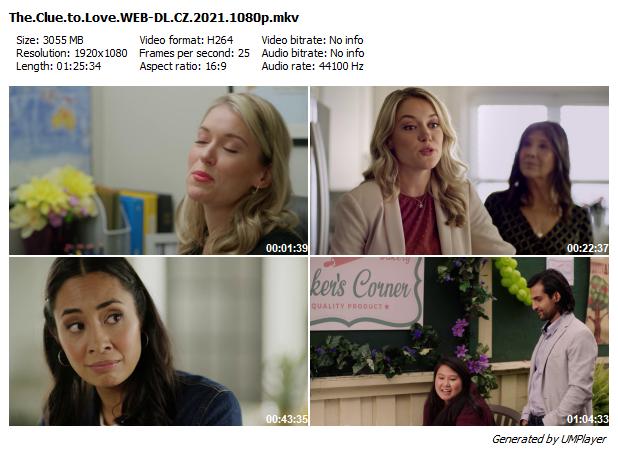 Nápověda k lásce / The Clue to Love (2021)