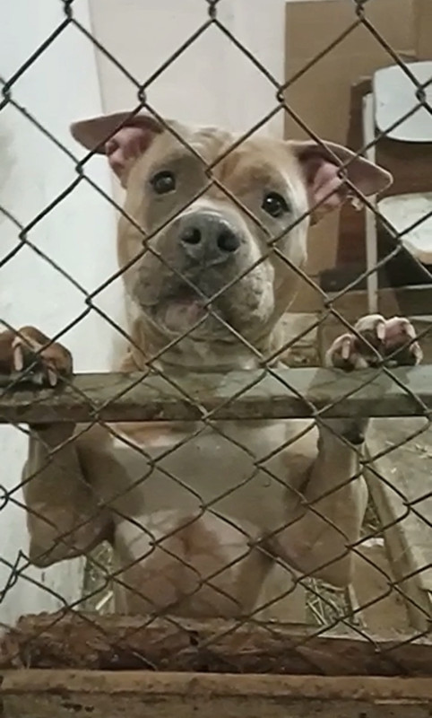 D6A0D926-4ABB-43C8-8ACB-5BC8ECFCF17D