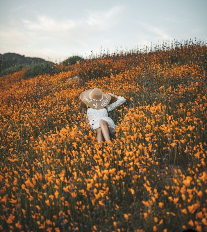 Screenshot_20240609_204200_Pinterest