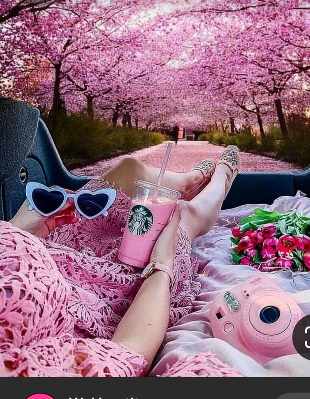 Screenshot_20230325_000231_Pinterest