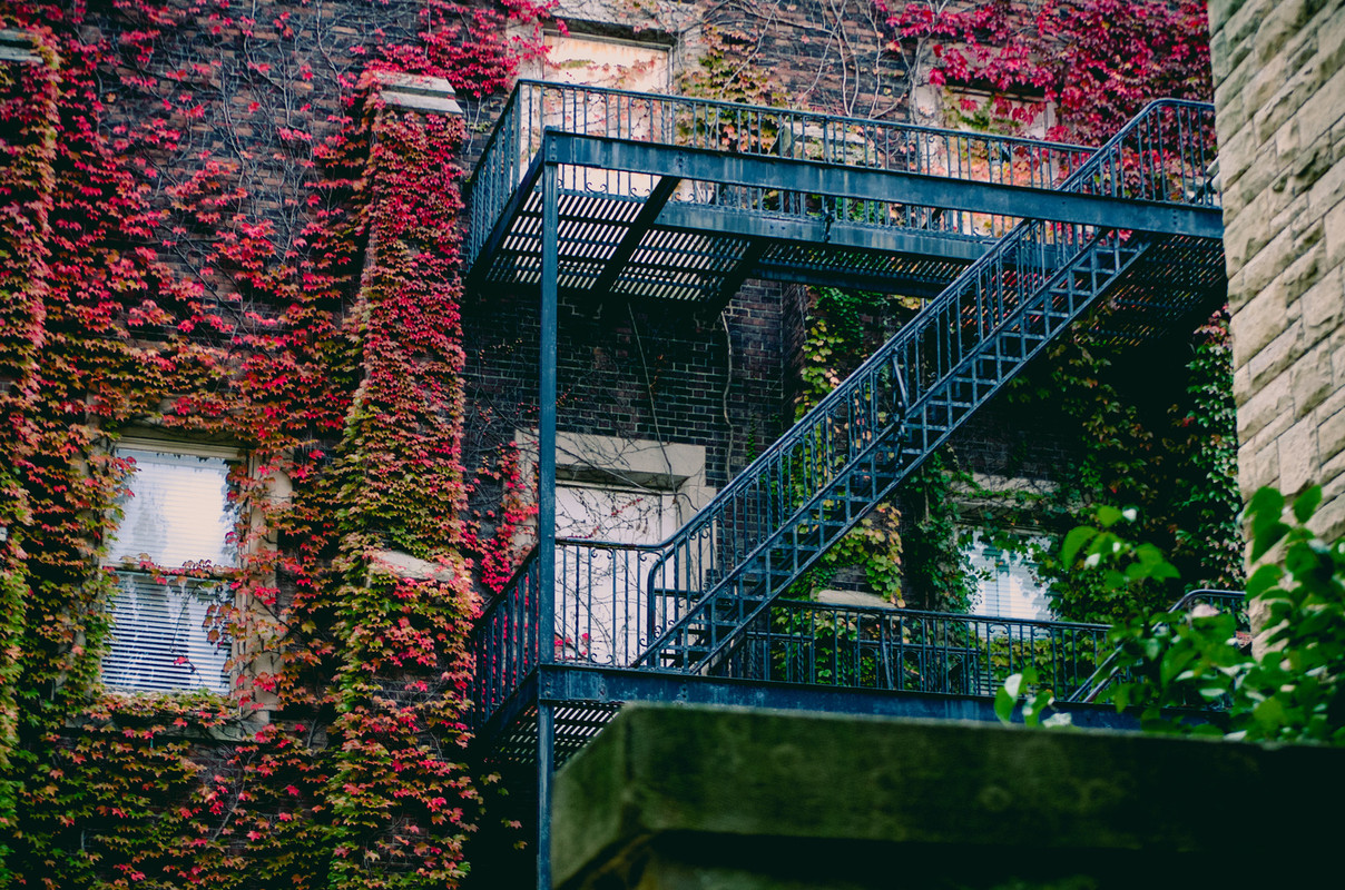 Blue-Ladder.jpg