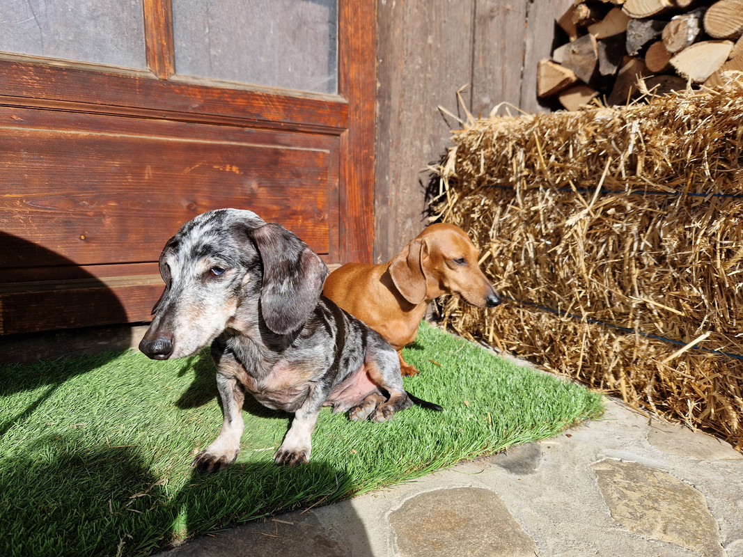 [Image: 20230218-113351.jpg]