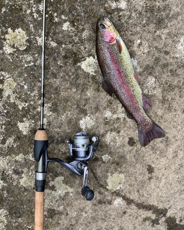 38102E52-F7EF-406B-AFDF-8E100F517F8C