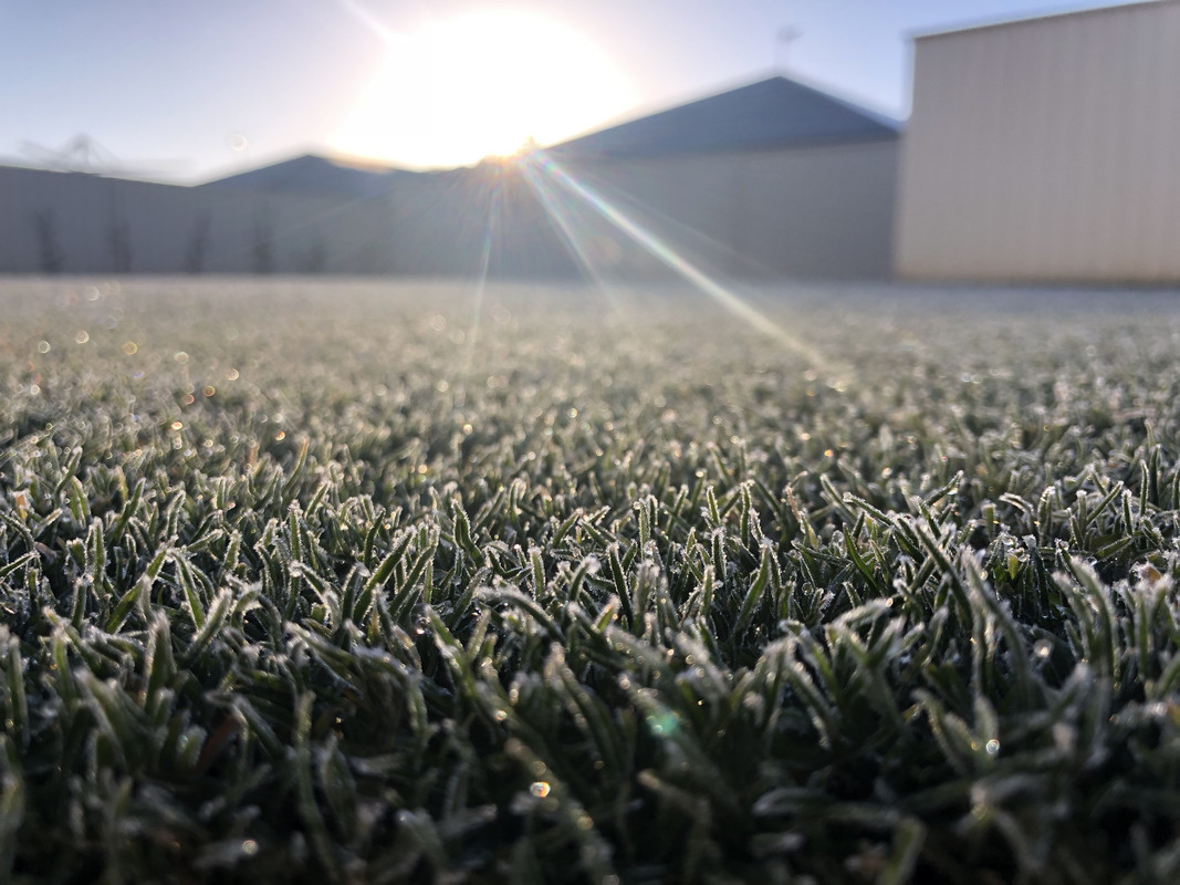 4DC91915-22B3-4606-B57A-A1E59BE6CB73